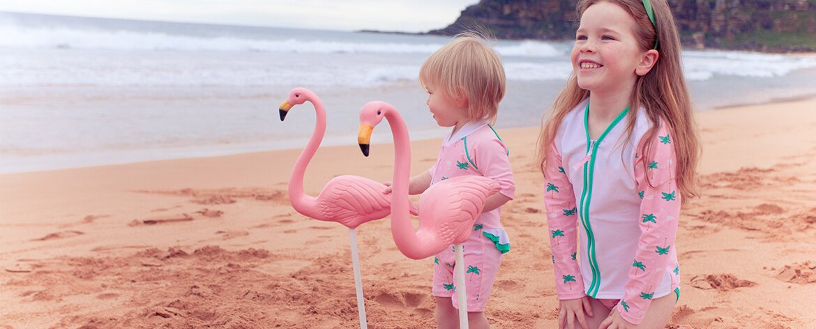 Flamingo Dances in the Sun